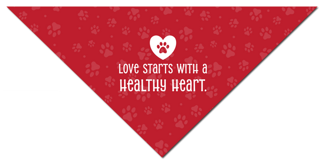 Small Bandoggies™ Cooling Pet Bandana- Heartworm Awareness