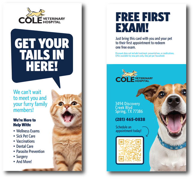 Free First Exam 4 x 9 Rack Card