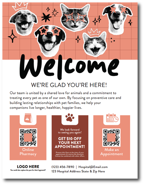 New Client INCENTIVE Flyer Fun - 8.5" x 11" Flyer