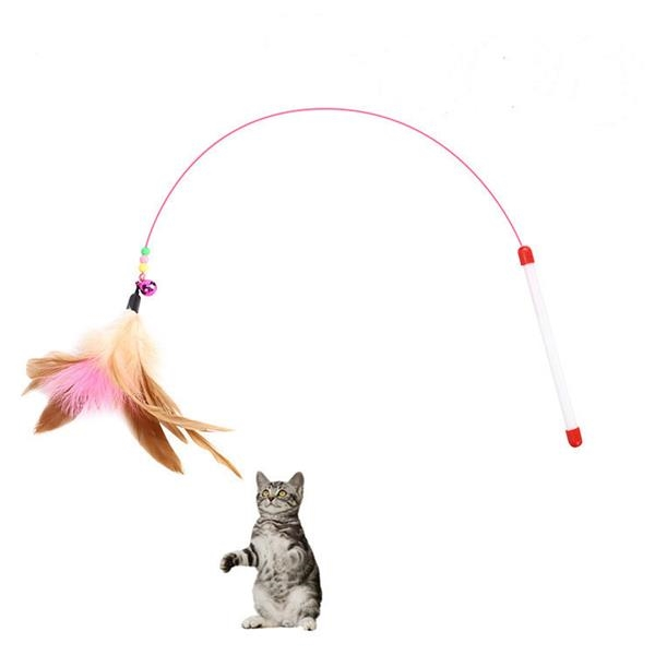 Cat Toy