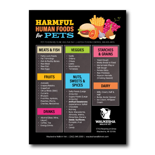 Toxic Foods Magnet - 5 x 7