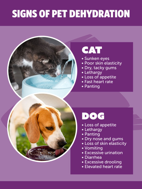 Dehydration- 24 x 36 Poster