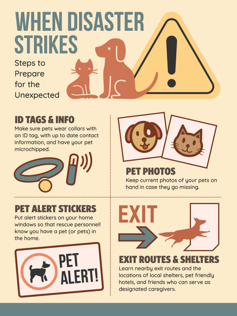 Disaster- 24 x 36 Poster