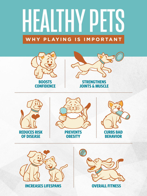 Healthy Pets- 12 x 18 Poster