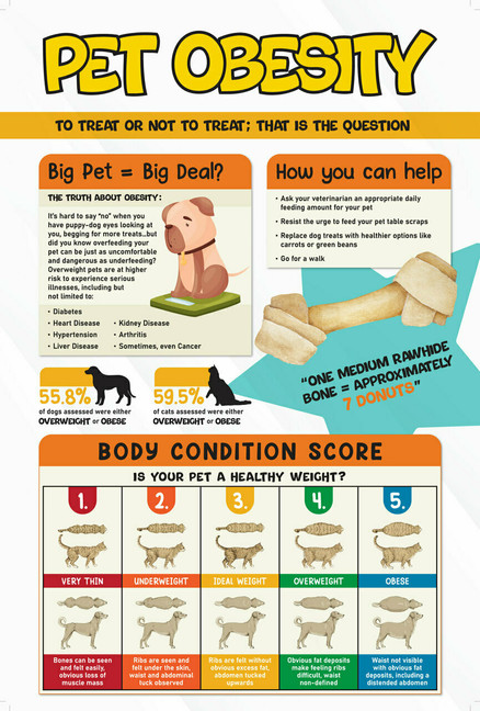 Pet Obesity - 8.5 x 11 Poster