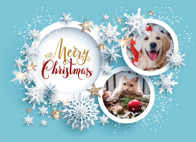 5 x 7 Holiday Card Christmas Card with Blank Envelopes