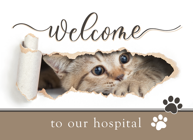 5 x 7 Welcome Card – Cat with Blank Envelopes
