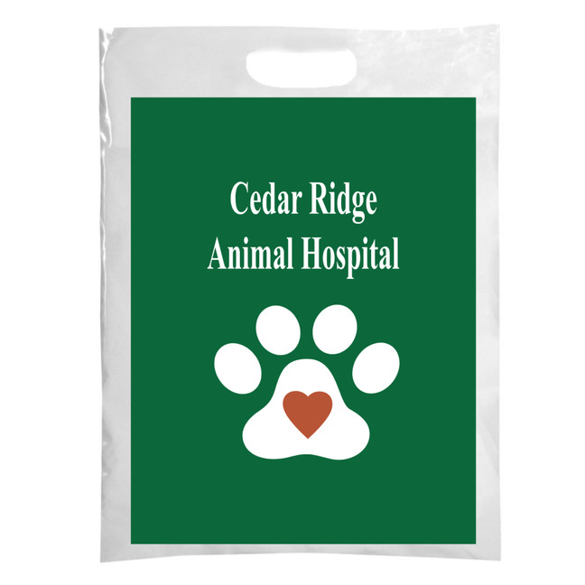 12 x 16 Full Color Plastic Supply Bag – One Side