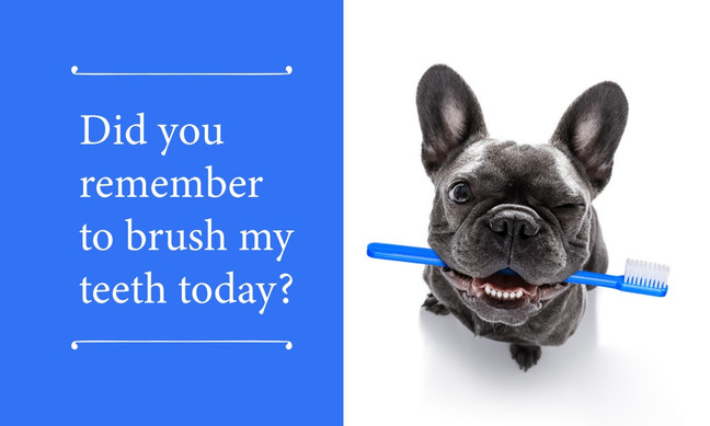 Dental Month Business Card Magnet