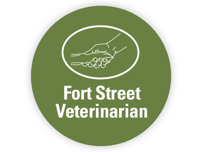 Removable Vinyl Sticker -3" Circle