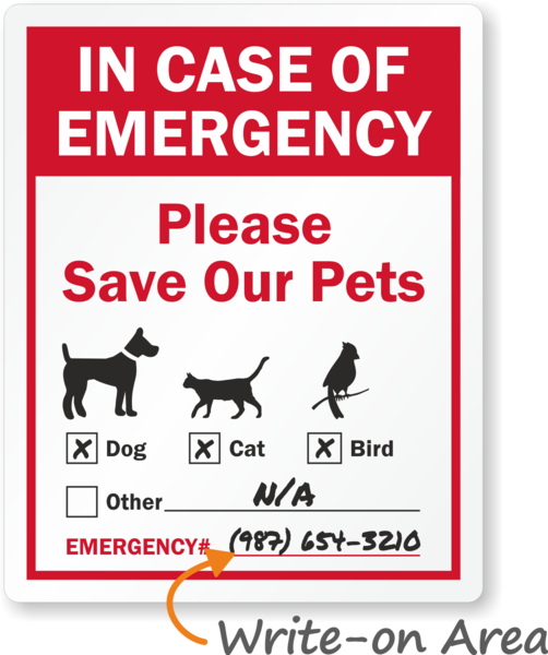 Removable Vinyl Stickers (Matte)