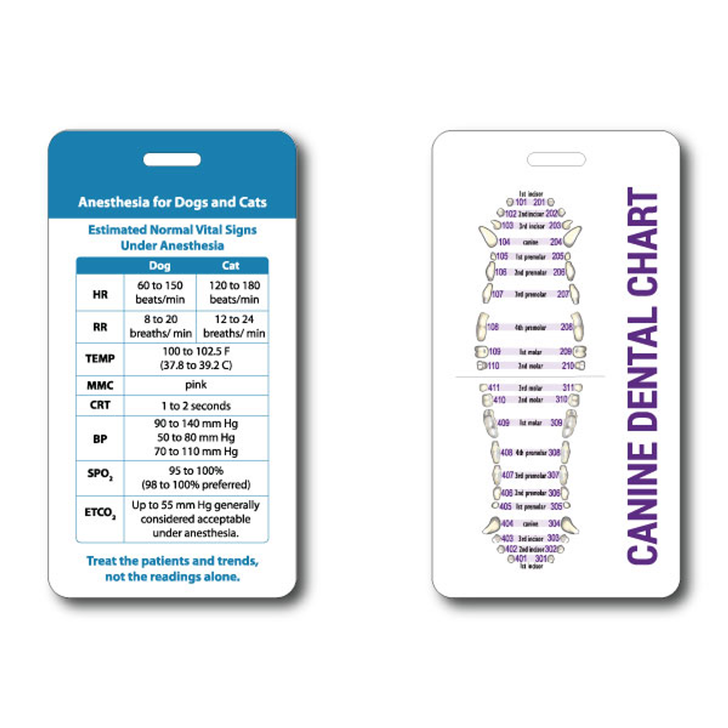 Badge Buddy - Anesthesia for Dogs/Dental Chart