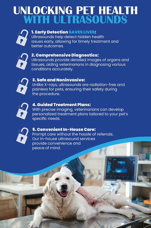 Unlocking pet health with ultrasounds - 12 x 18 Poster