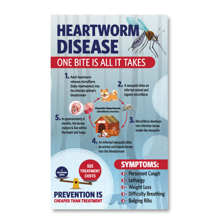 Heartworm Disease Awareness Card Magnet 3" x 5"