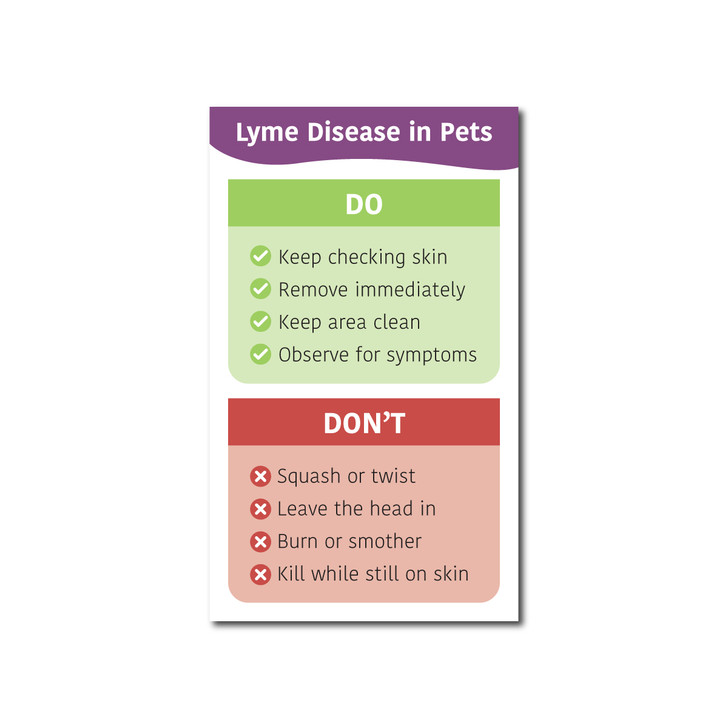 Tick & Lyme Disease Awareness Magnet - 4"x6"
