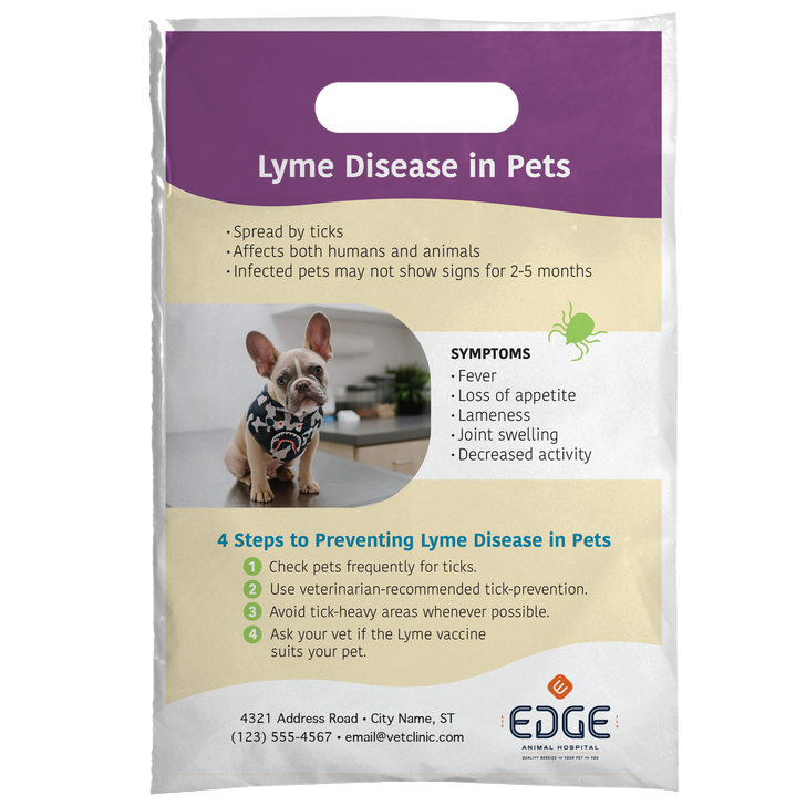 Tick & Lyme Disease Awareness  9 x 13 Full Color Supply Bag – One Side