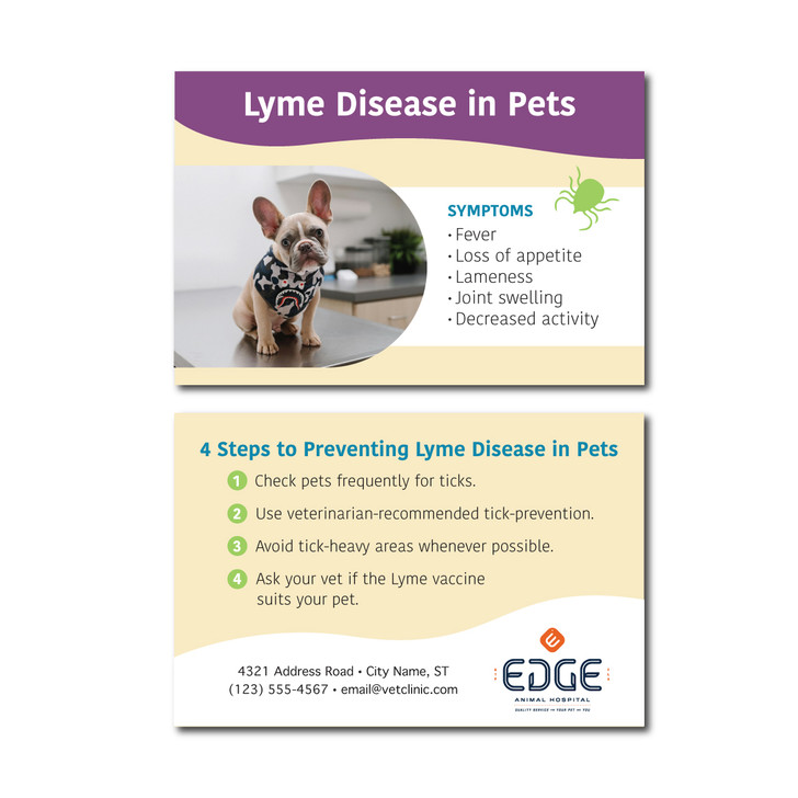 Tick & Lyme Disease Awareness  4 x 6 Postcard