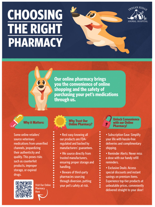 Choosing the Right Pharmacy - 18 x 24 Poster