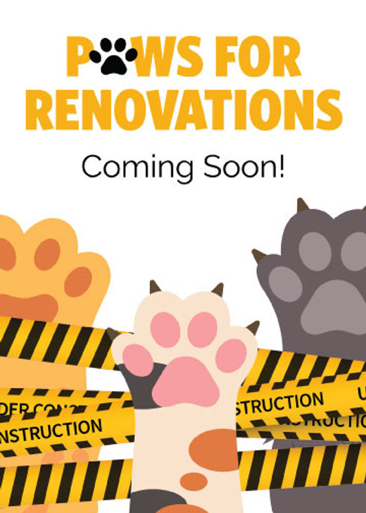 Unbranded Paws for Renovation Window Cling - 5" x 7"