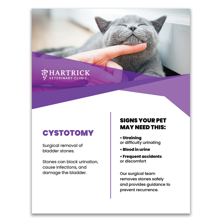 Services Layout 10 - 8.5 X 11 Poster