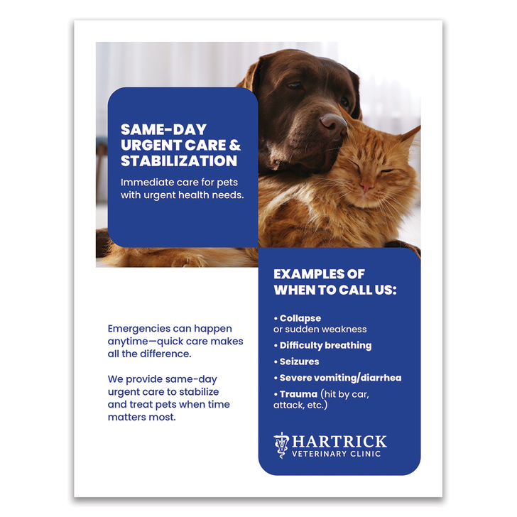 Services Layout 13 - 8.5 X 11 Poster