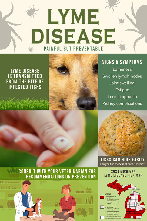 Lyme Disease - 18 x 24 Poster