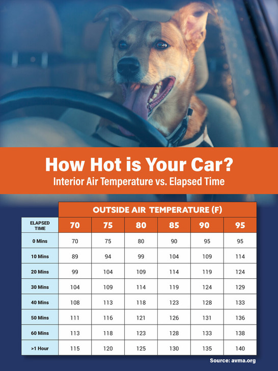 Hot Car- 18 x 24 Poster