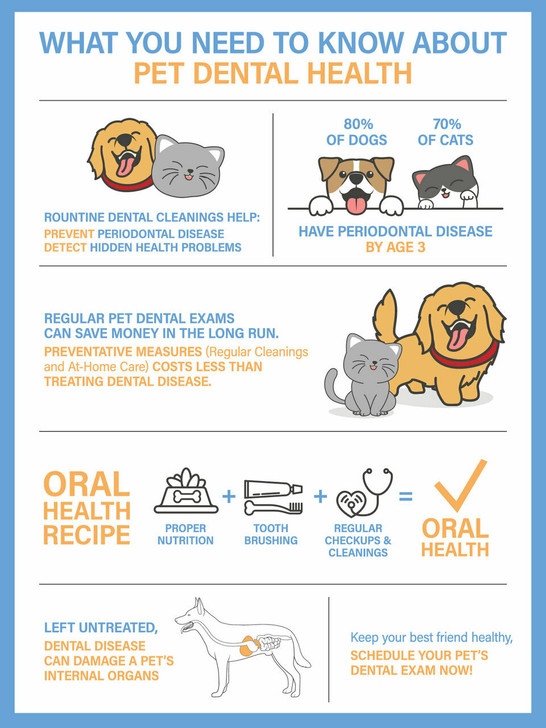 Dental Month- 12 x 18 Poster