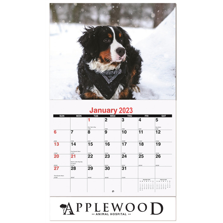 Furever Friends Wall Calendar (Coil Bound)