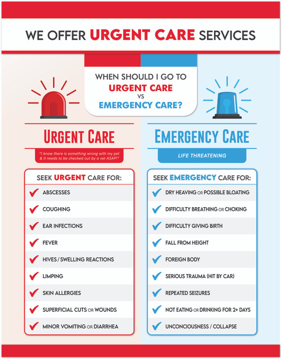 Urgent Care Vs Emergency Care - 24 x 36 Poster