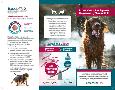 Simparica Trio Brochure