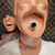 Simulaids Adam manikin head showing clean surface, no visible damage. One replacement face piece and plastic bag visible.