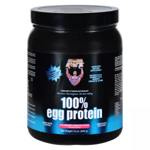 Healthy 'N Fit 100% Egg Protein Strawberry 12 Ounce