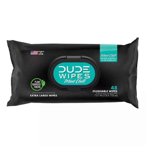 Dude Wipes Mint Chill Flushable Wipes - 48Ct