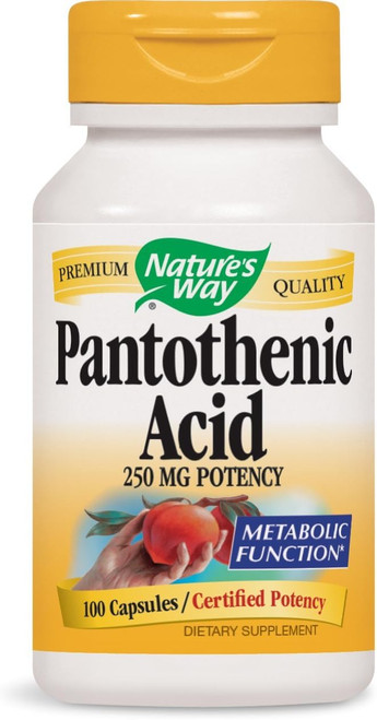 Nature'S Way Pantothenic Acid 250 Mg Potency - 100 Caps