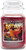 Village Candle Large Apothecary Jar Candle Mulled Cider - 21.25 oz