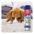 Resolve Pet Expert High Traffic, Carpet Foam, 22 Oz