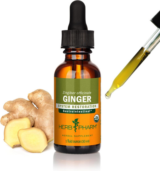 Herb Pharm Ginger For Gastrointestinal - 1 Oz