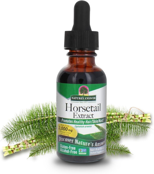 Nature'S Answer Horsetail Extract Alcohol Free 1 Fl Oz