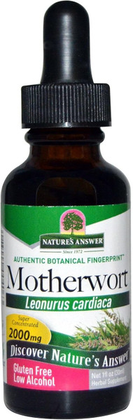 Nature'S Answer Motherwort Herb 1 Fl Oz