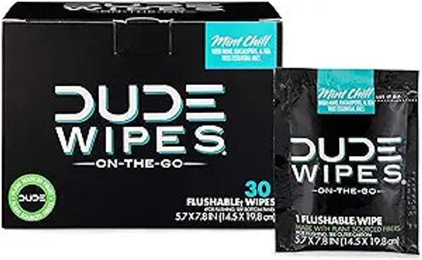 Dude Wipes - On-The-Go Flushable Wipes - 1 Pack, 30 Wipes