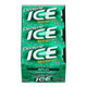 Dentyne Ice Sugar-Free Gum, Spearmint 16 Pieces 9 Ea