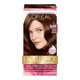 Loreal Excellence Triple Protection Hair Color Creme, 5Ar Medium Maple Brown - Kit