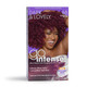 SoftSheen-Carson Dark and Lovely Ultra Vibrant Permanent Hair Color