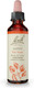 Bach Original Remedies Aspen Flower Essence Emotional Balance Formula, 0.7 Oz  