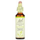 Bach Flower Essence Original Remedies Chestnut Bud Formula for Learning from Experience, 0.7 Oz  