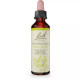 Bach Flower Essence Original Remedy Dropper Honeysuckle Formula for Living in the Present, 0.7 Oz  