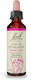 Bach Flower Essence Star of Bethlehem Formula for Comfort and Peace, 0.7 Oz  