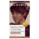 Clairol Textures and Tones Permanent Hair Dye 4RV Berry Burgundy Hair Color, 1 Ea