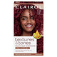 Clairol Textures and Tones Permanent Hair Dye 6R Ruby Red Hair Color, 1 Ea